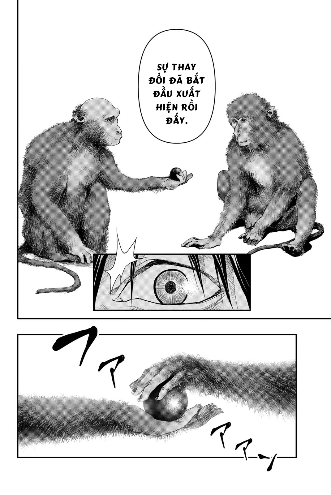 Abu Normal - Chương 6