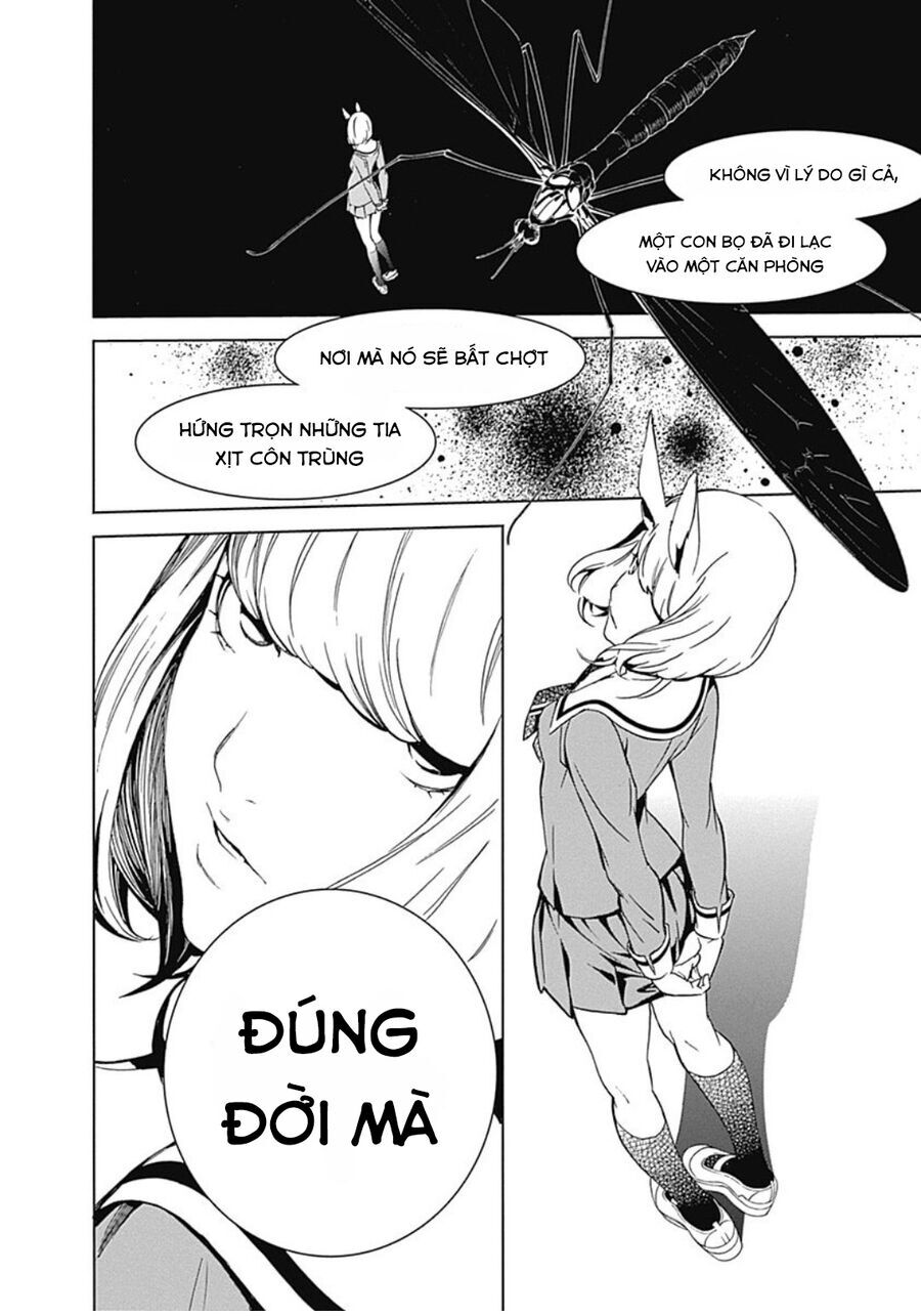 Biorg Trinity - Chương 29