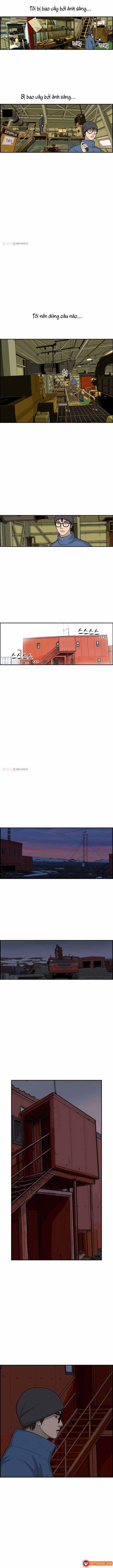 Cá Con (Vảy Cá) - Chương 26