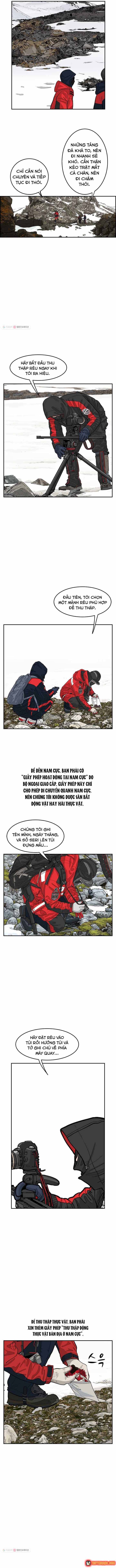 Cá Con (Vảy Cá) - Chương 30