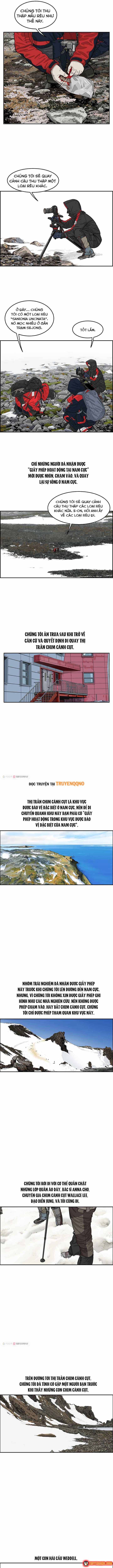 Cá Con (Vảy Cá) - Chương 30