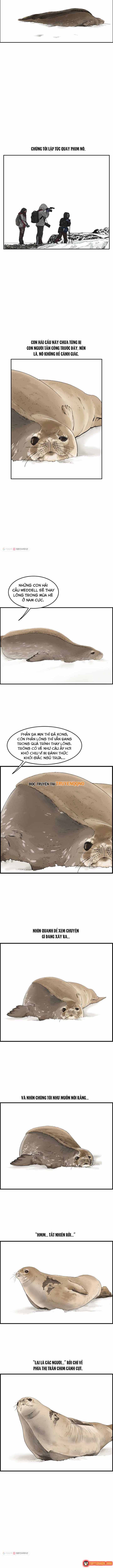 Cá Con (Vảy Cá) - Chương 30