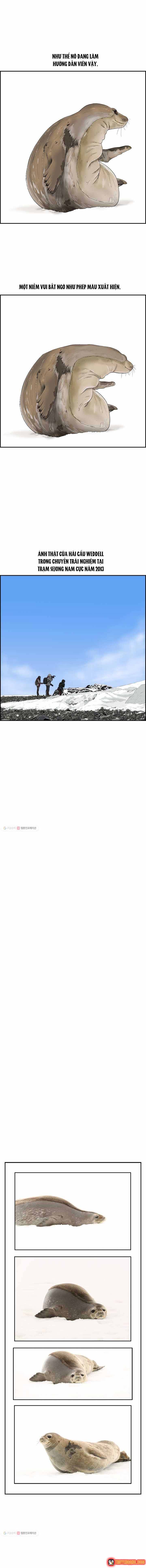 Cá Con (Vảy Cá) - Chương 30