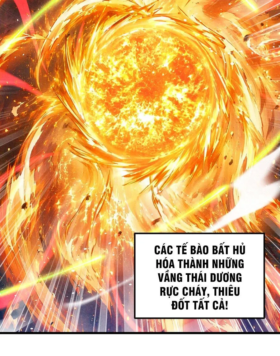 Cao Võ: Hạ Cánh Đến Một Vạn Năm Sau - Chương 328