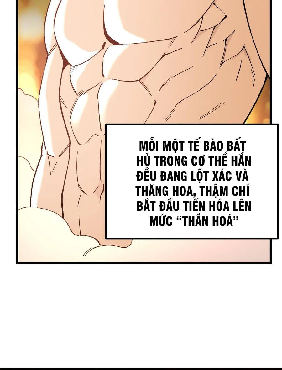 Cao Võ: Hạ Cánh Đến Một Vạn Năm Sau - Chương 329