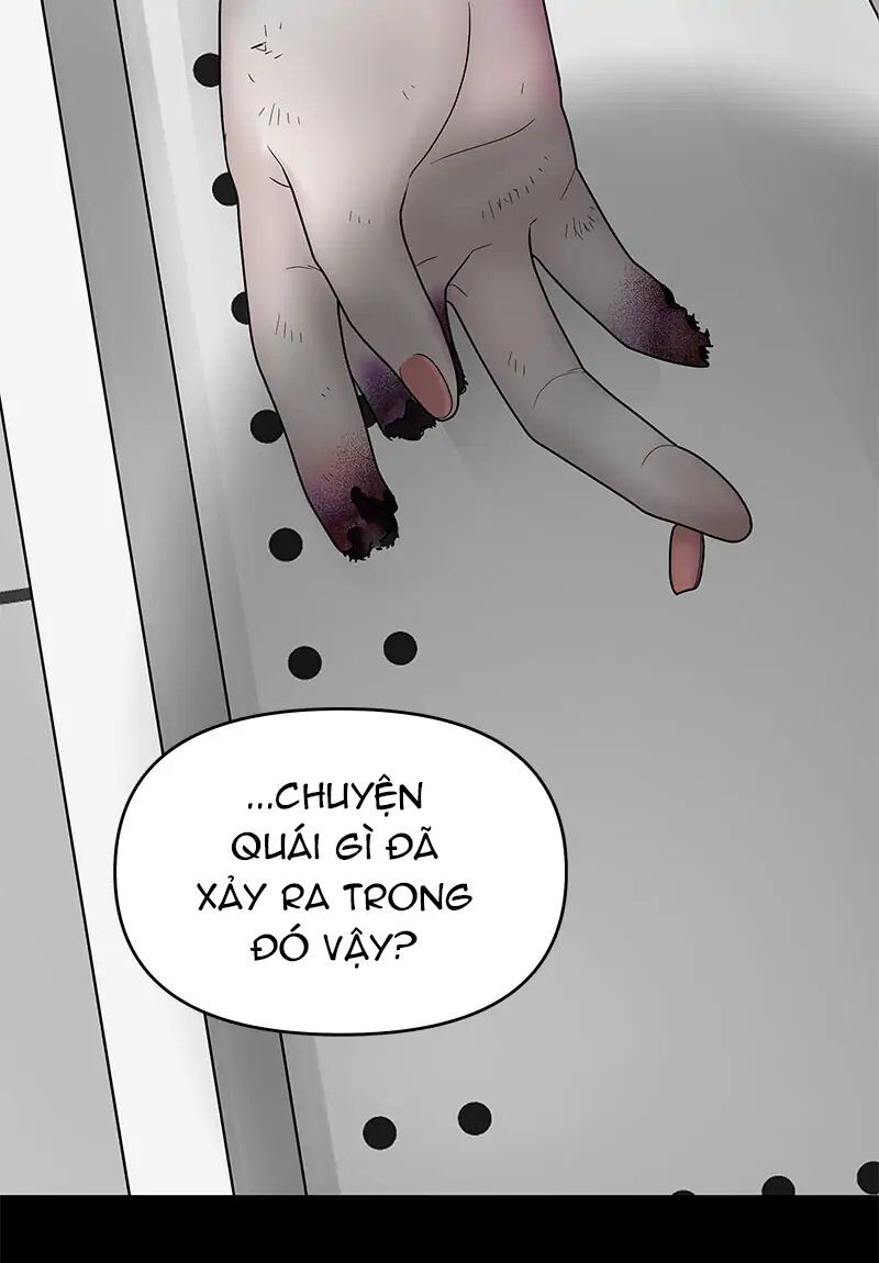 Chasing Tails - Chương 2