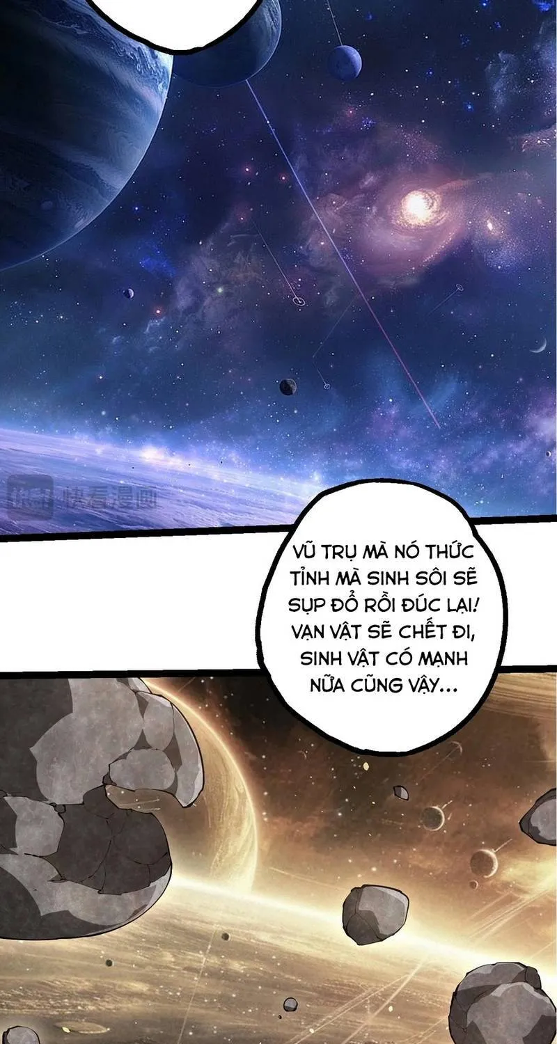 Chuyển Sinh Thành Liễu Đột Biến - Chương 521