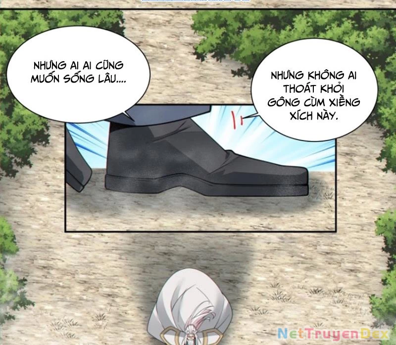 Đồ Đệ Của Ta Đều Là Đại Phản Phái - Chương 327