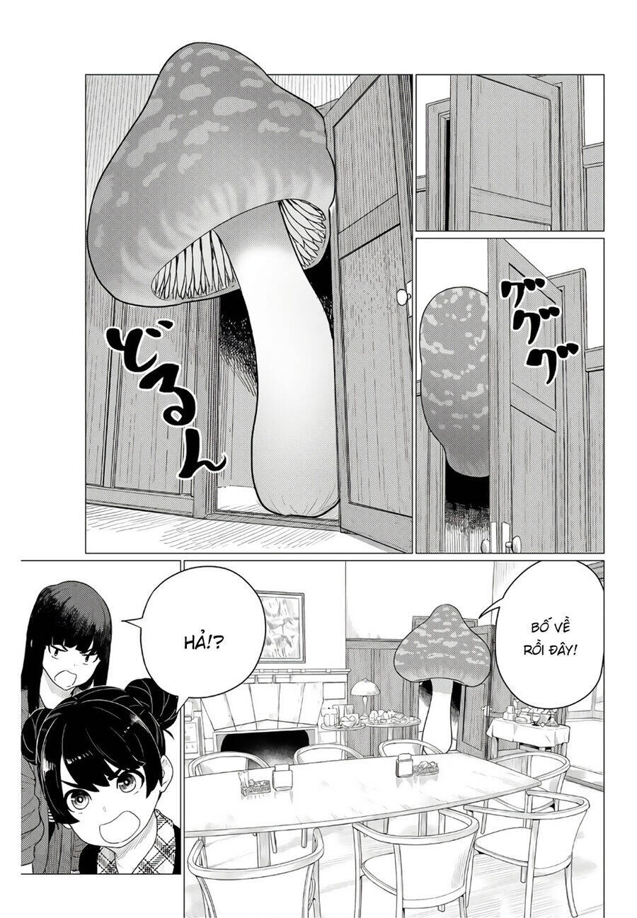 Flying Witch - Chương 79