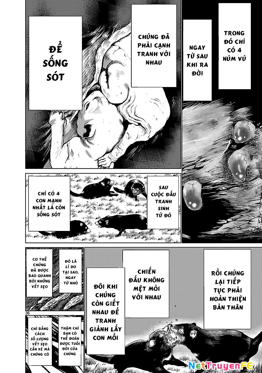 Killing Bites - Chương 36