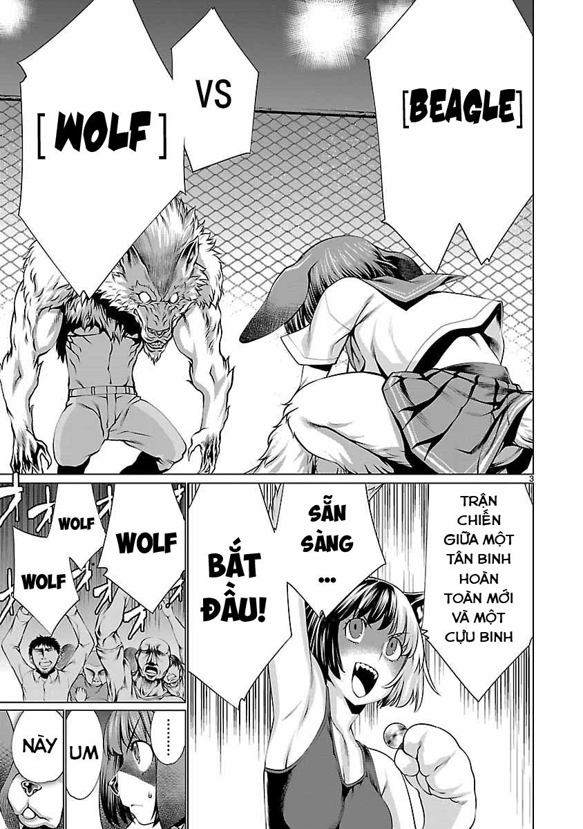 Killing Bites - Chương 38