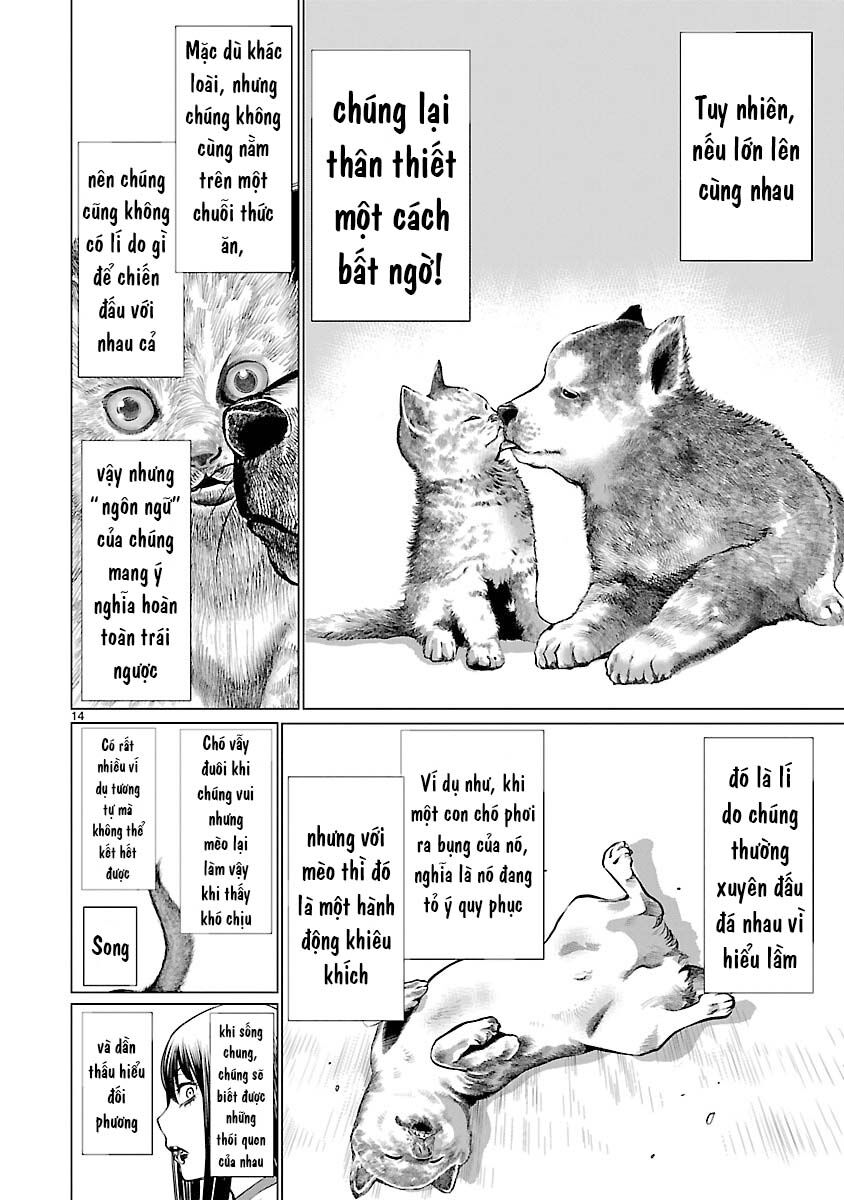 Killing Bites - Chương 39