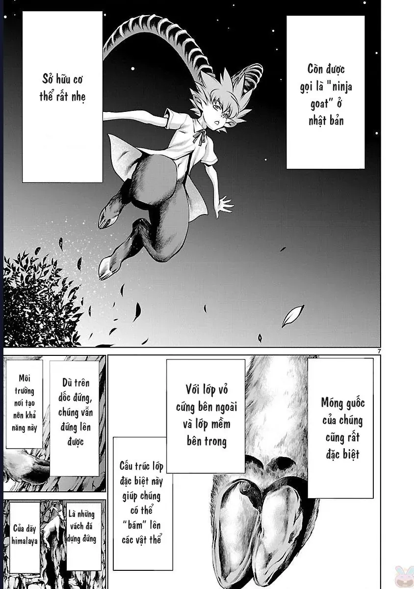 Killing Bites - Chương 43