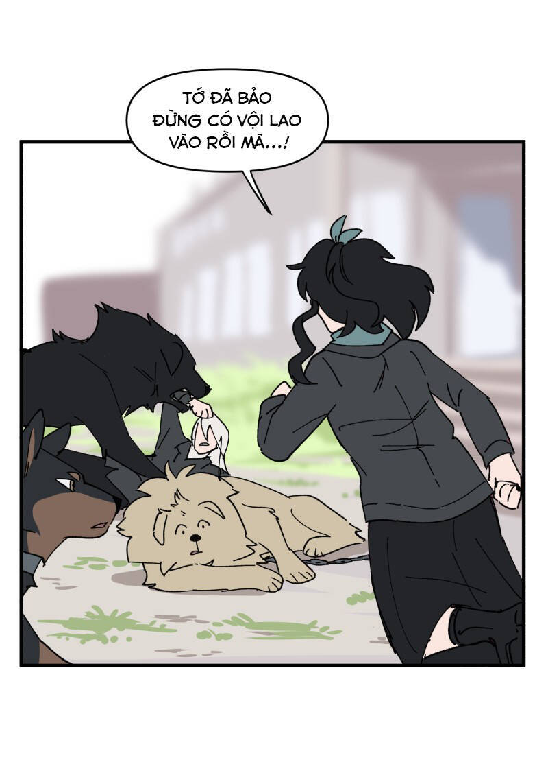 Lumine - Chương 151