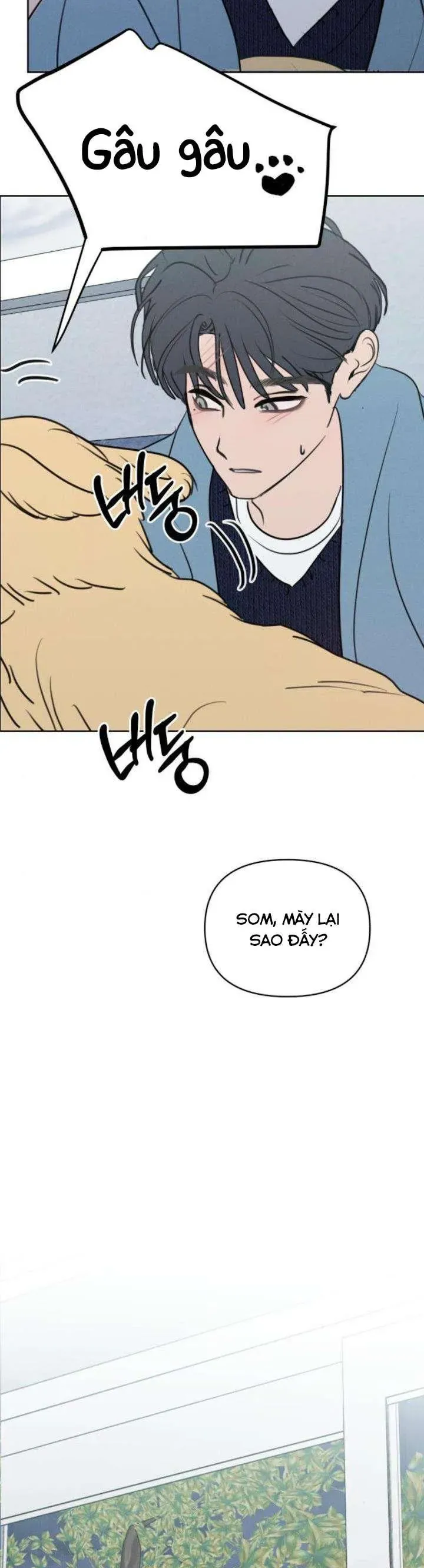 Muốn Bị Lừa Dối - Chương 26