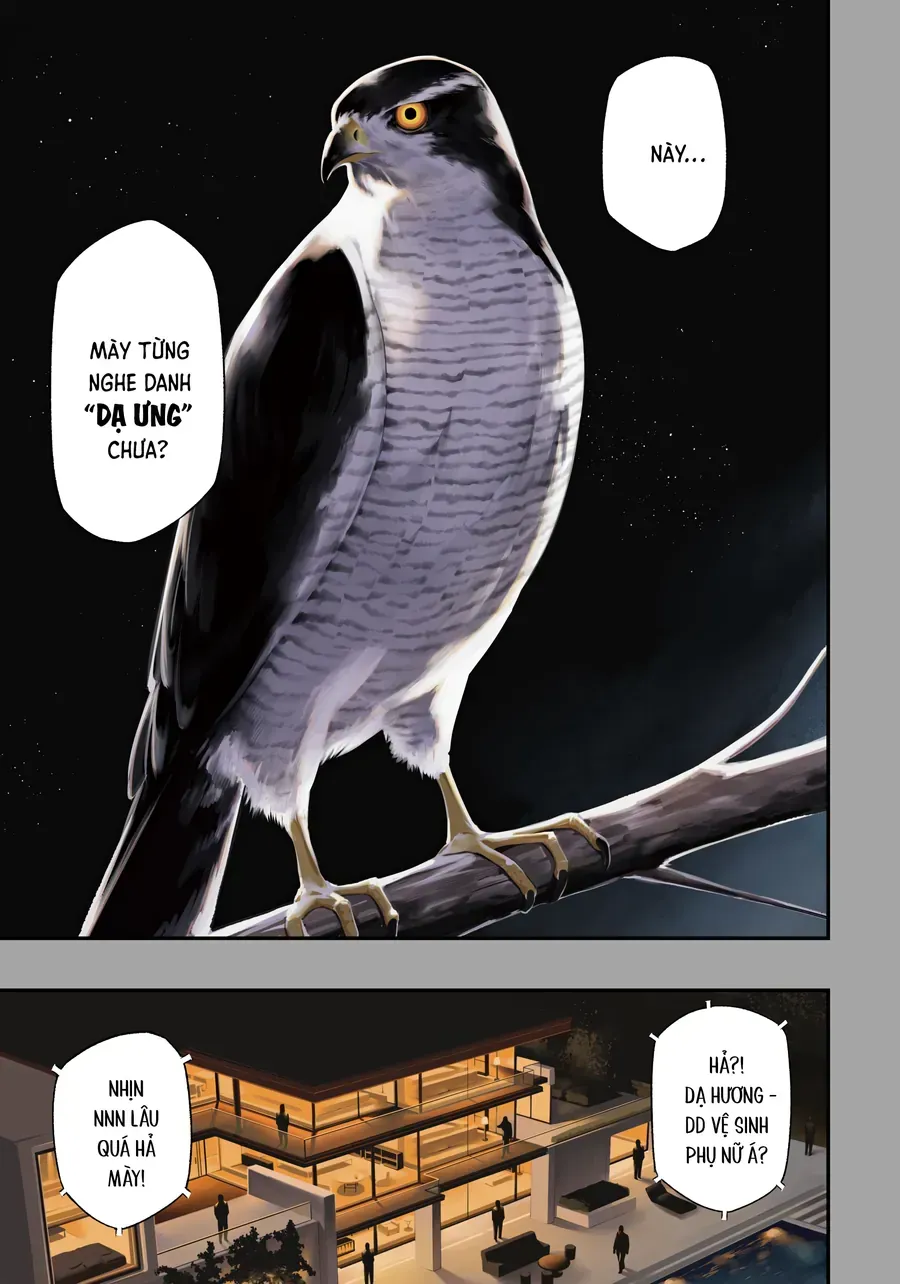 Nighthawk Returns - Chương 1