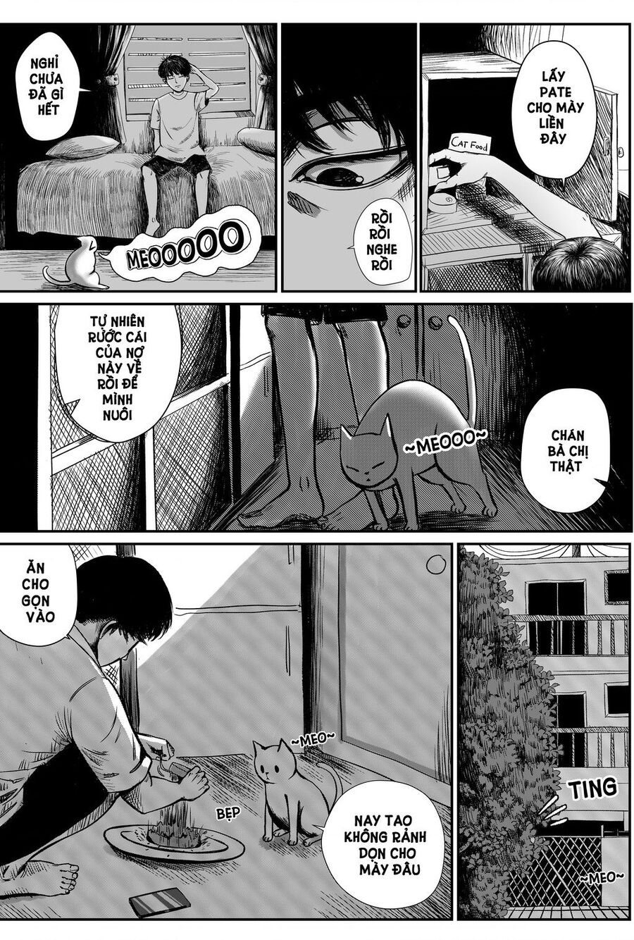 Normal Days - Chương 1