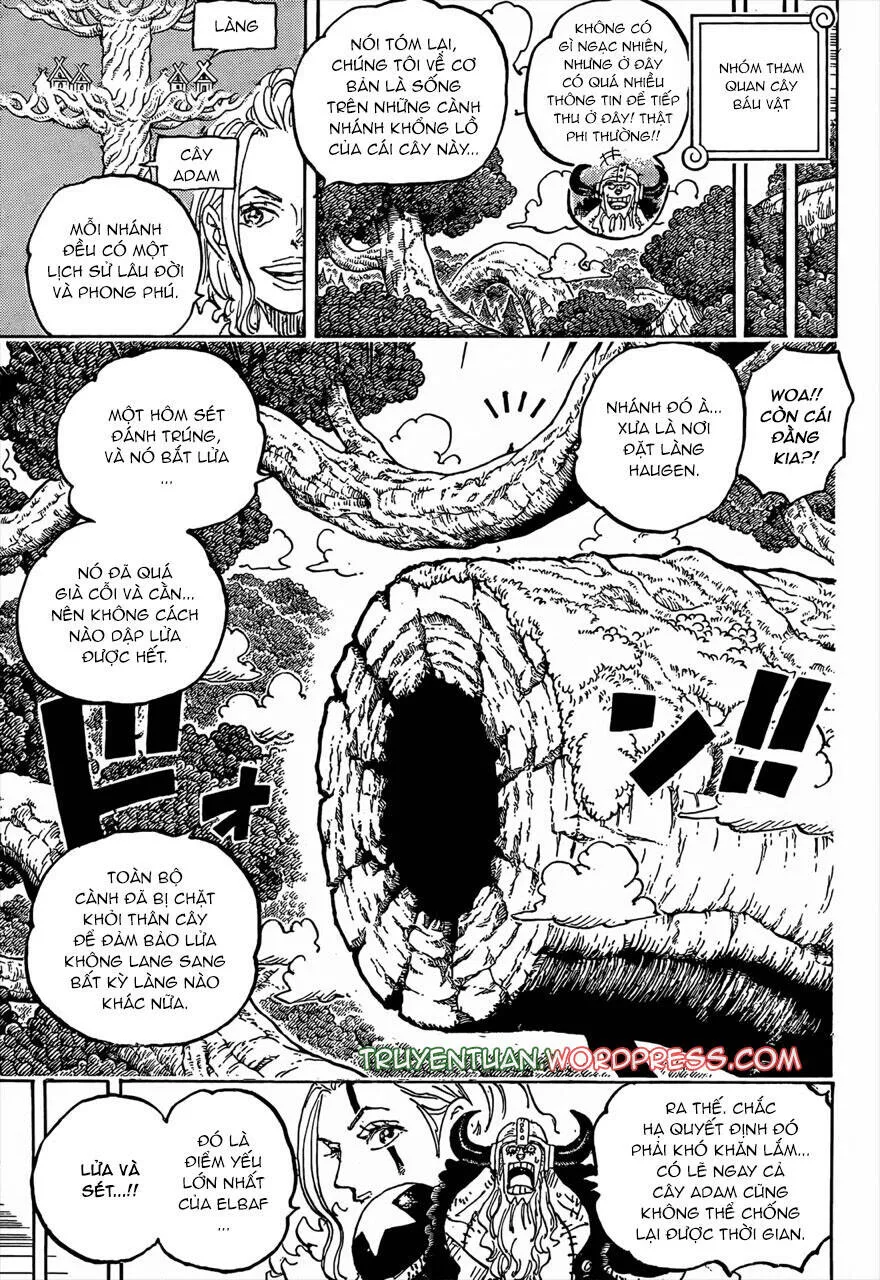 One Piece - Chương 1141