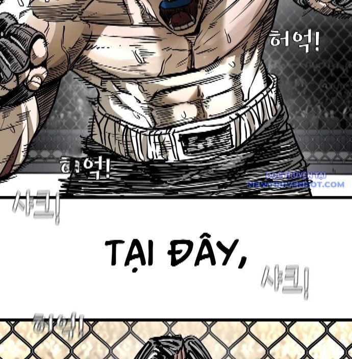 Shark - Cá Mập - Chương 337