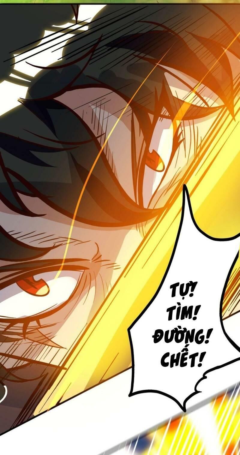 Tổ Chức X.e - Chương 1