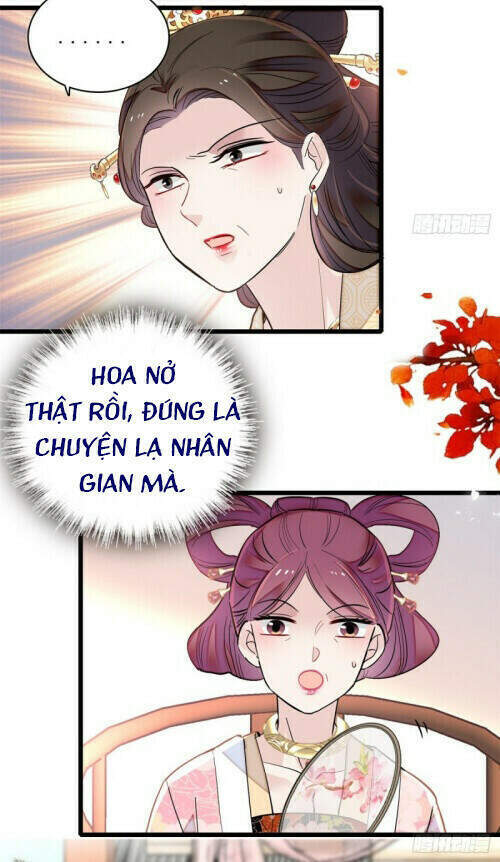 TỰ CẨM - Chương 126