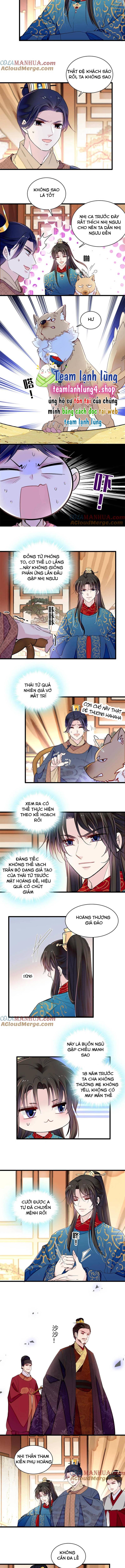 TỰ CẨM - Chương 246