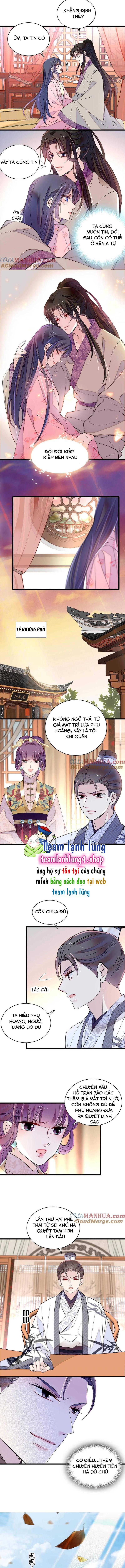 TỰ CẨM - Chương 249