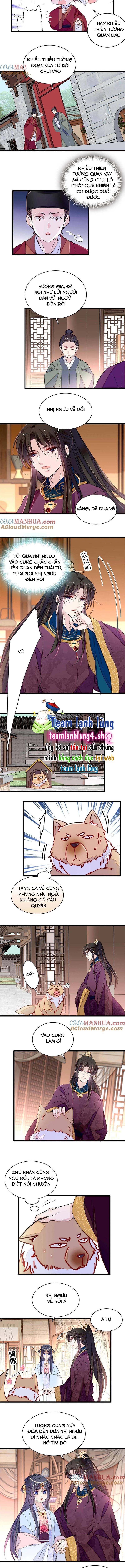 TỰ CẨM - Chương 258