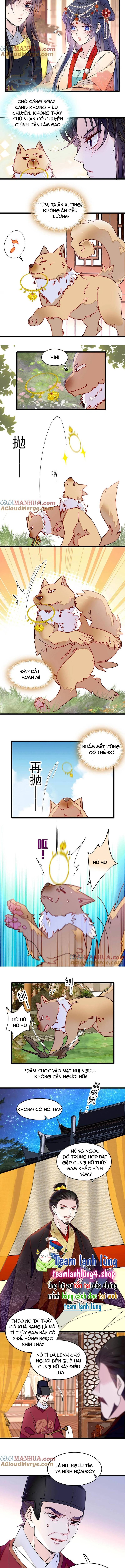 TỰ CẨM - Chương 260
