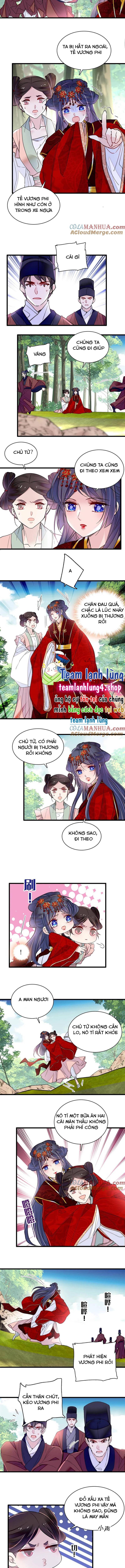 TỰ CẨM - Chương 271