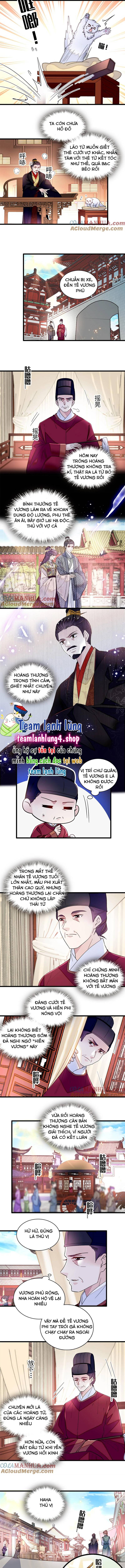 TỰ CẨM - Chương 339