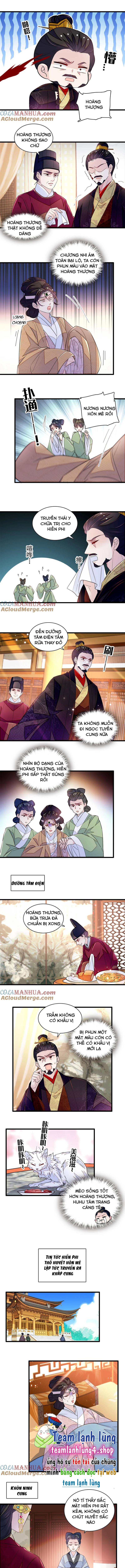 TỰ CẨM - Chương 342