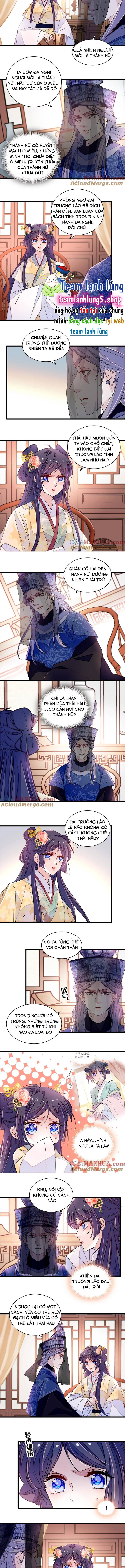 TỰ CẨM - Chương 366