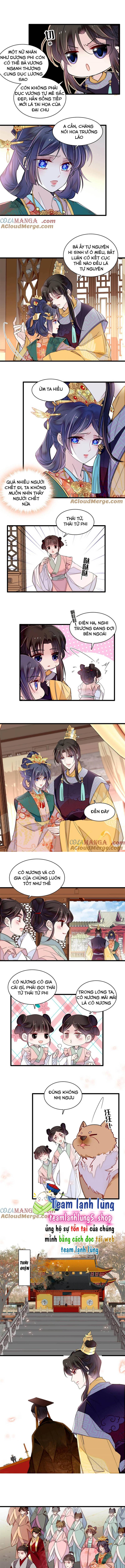 TỰ CẨM - Chương 375