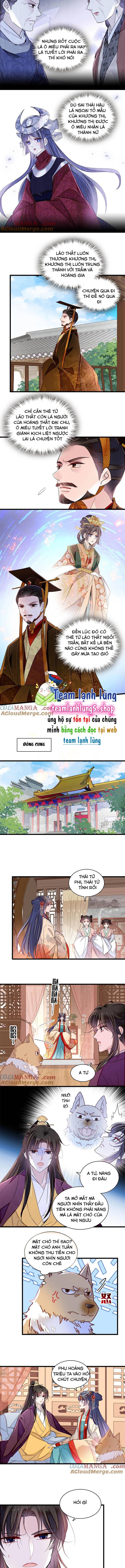TỰ CẨM - Chương 385