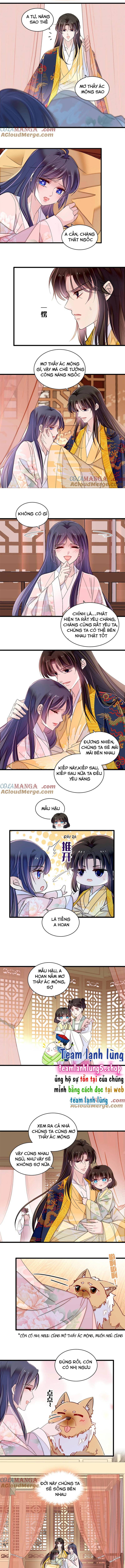 TỰ CẨM - Chương 388