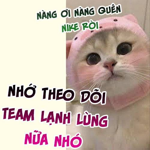 TỰ CẨM - Chương 397