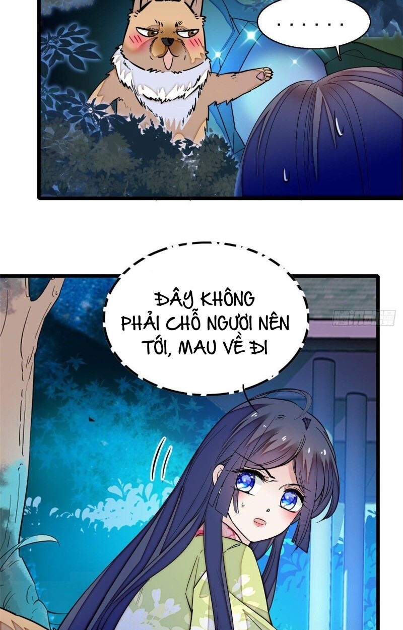 TỰ CẨM - Chương 47
