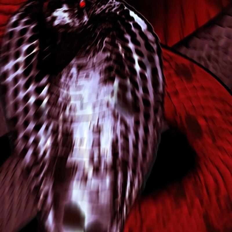 Venta Black - Chương 7