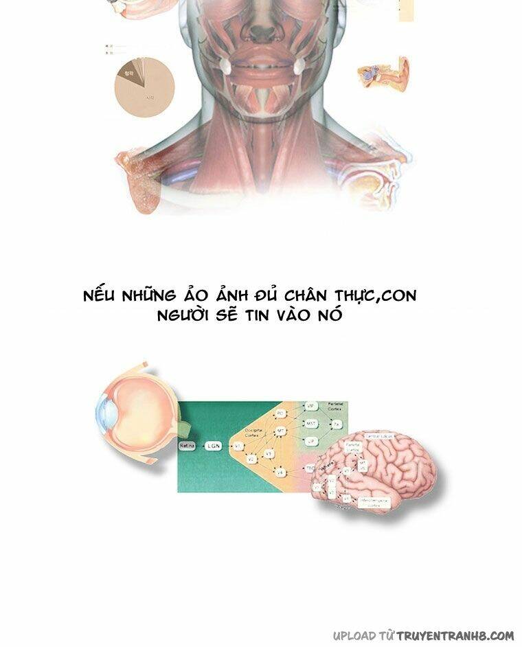 Accord - Chương 2