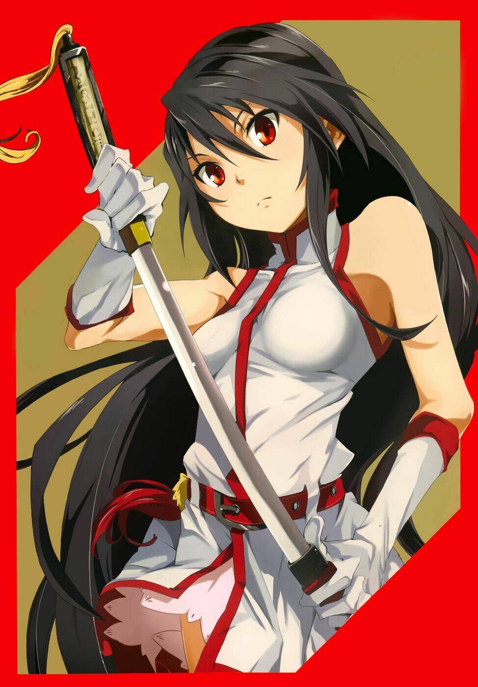 Akame Ga Kill! Zero - Chương 1