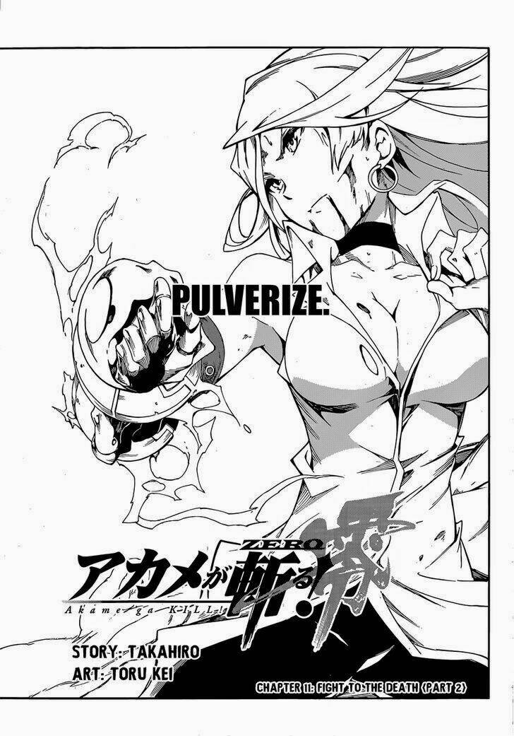Akame Ga Kill! Zero - Chương 11