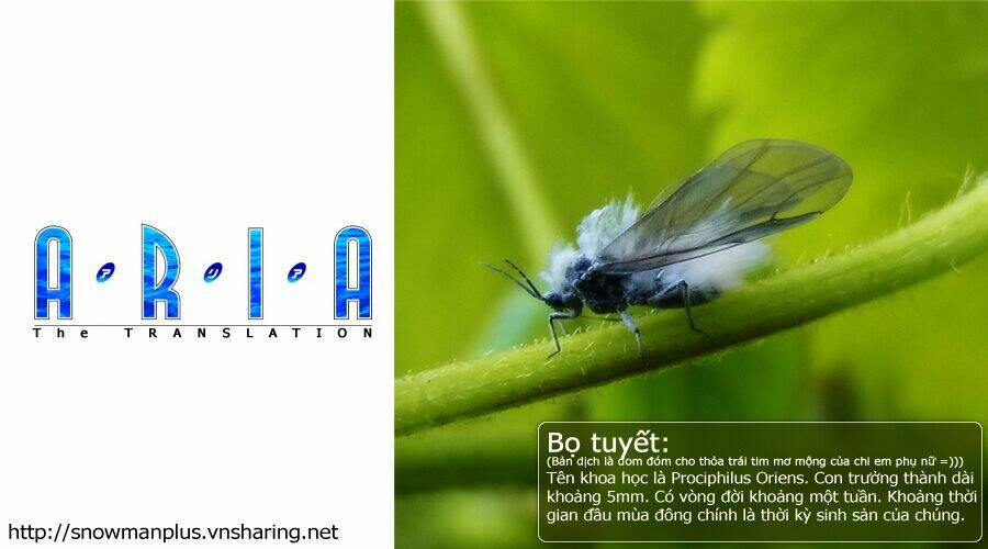 Aria - Chương 6