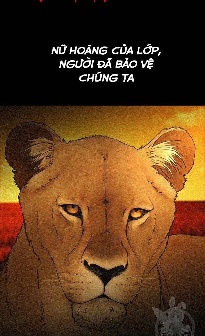 Bố Vạn Năng - Chương 31