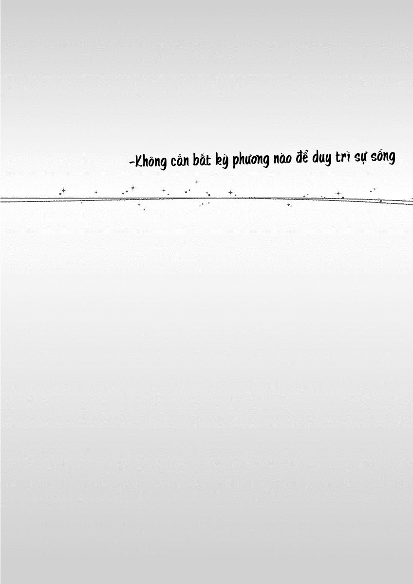 Bóng Lưng - Chương 2