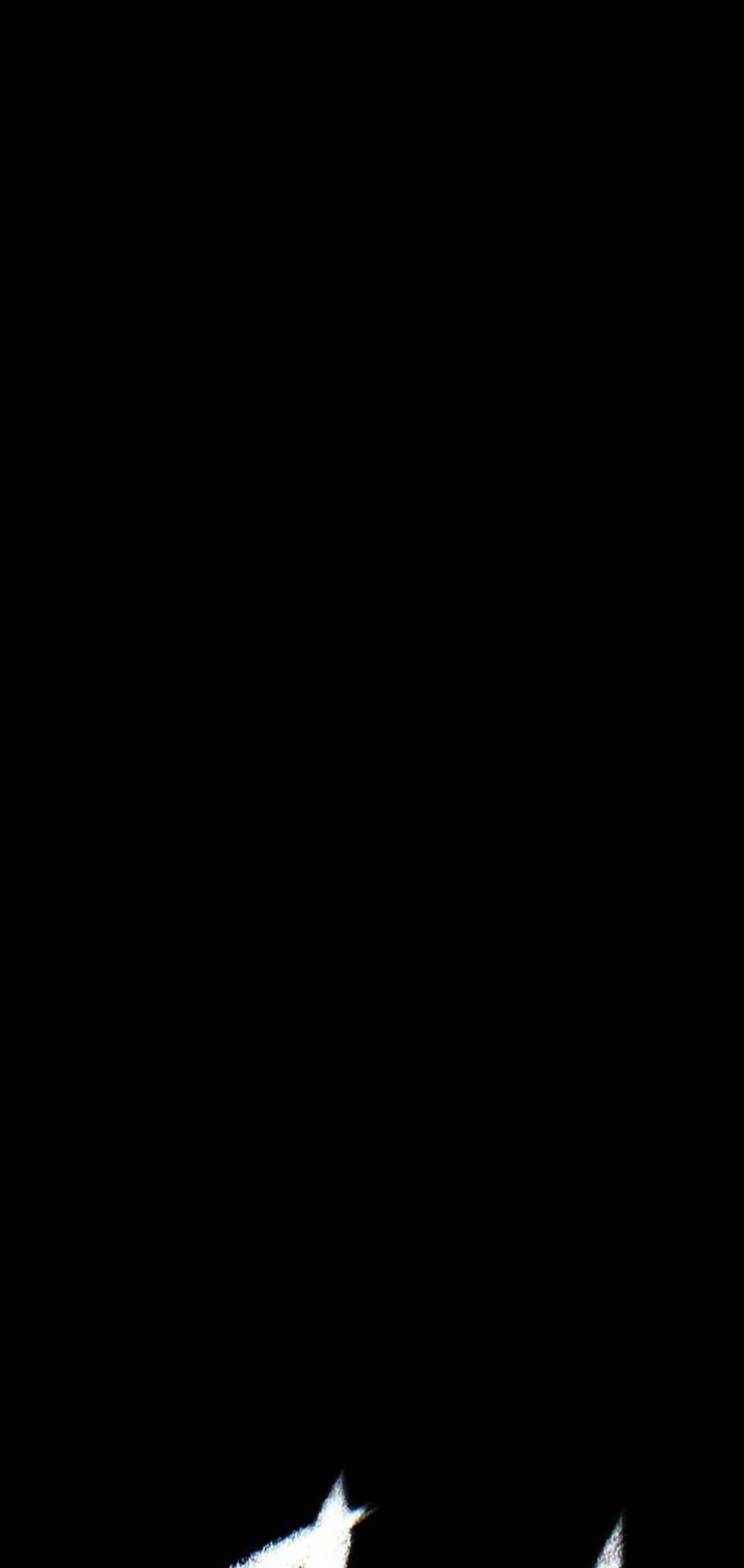 Bù Nhìn - Chương 1