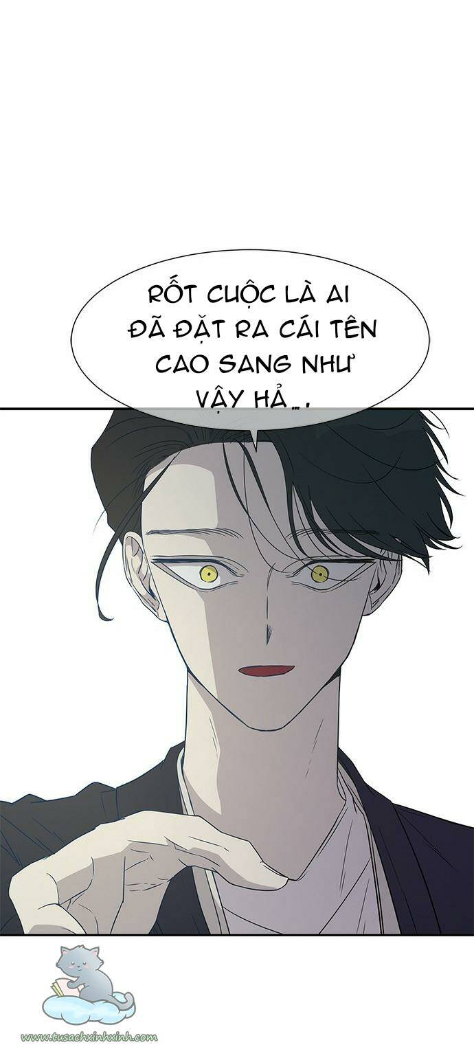 Cạm Bẫy - Chương 16