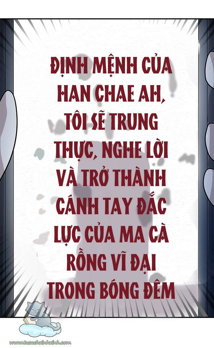 Cạm Bẫy - Chương 28