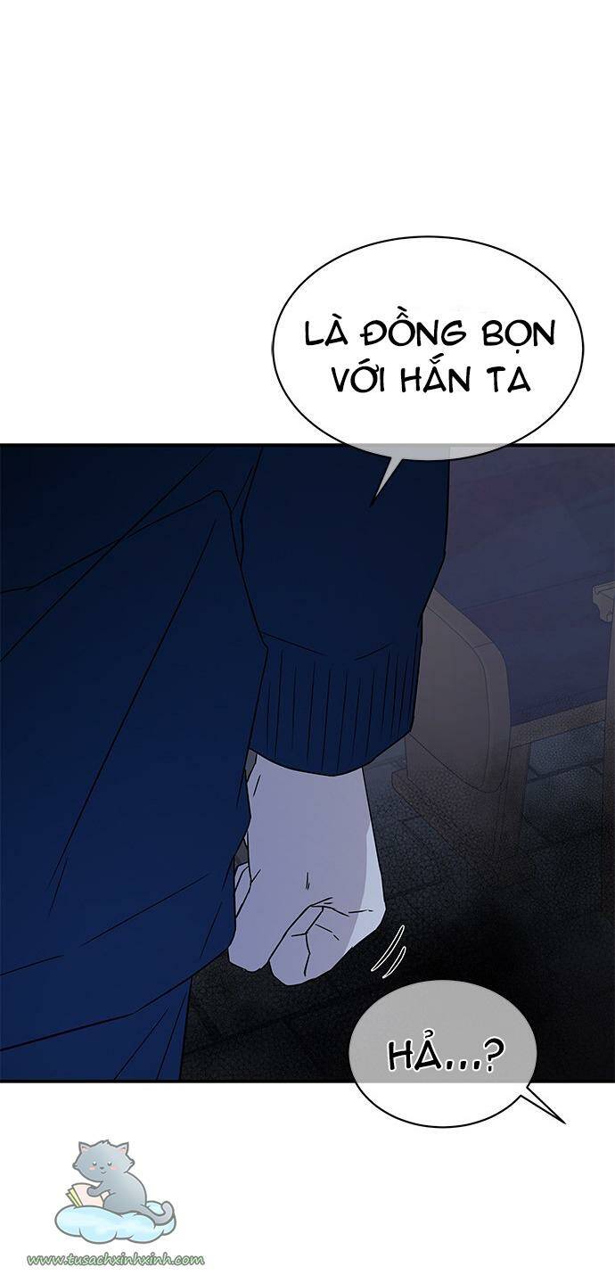 Cạm Bẫy - Chương 28