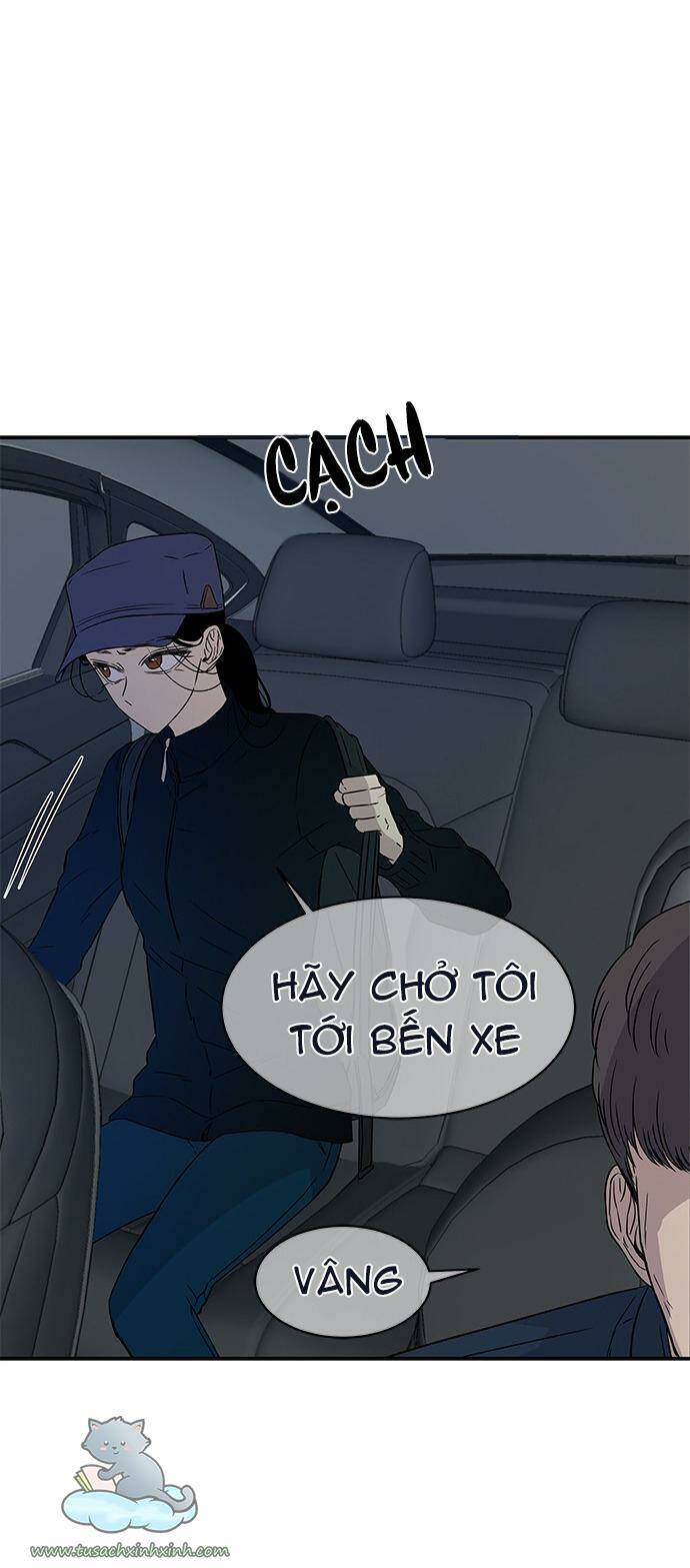 Cạm Bẫy - Chương 28